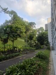 Blk 202 Petir Road (Bukit Panjang), HDB 4 Rooms #609502131